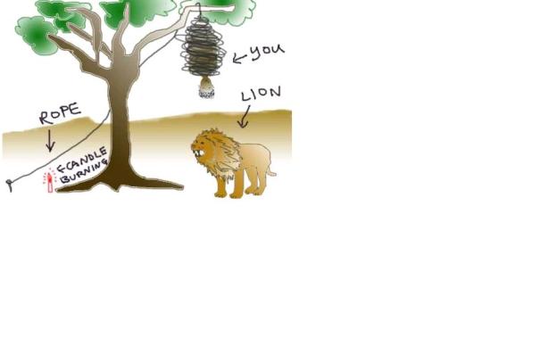 மரணப்புதிர் - Page 2 Lion